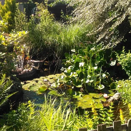 Kwatera prywatna Petit Chez Soi Dans Mon Petit Chez Moi *