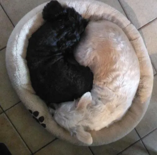 Petit Chez Soi Dans Mon Petit Chez Moi