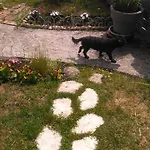 Petit Chez Soi Dans Mon Petit Chez Moi Проживание в семье *