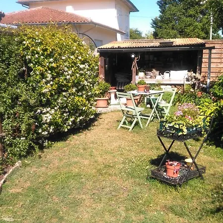 Petit Chez Soi Dans Mon Petit Chez Moi ホームステイ *