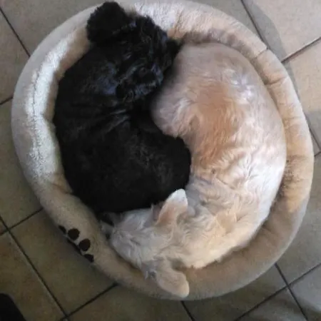 Petit Chez Soi Dans Mon Petit Chez Moi