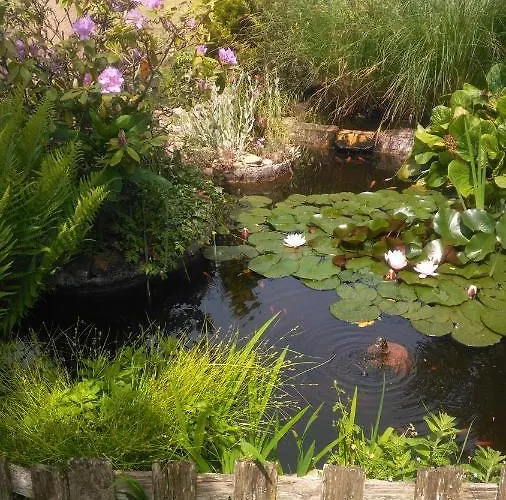 Séjour chez l'habitant Petit Chez Soi Dans Mon Petit Chez Moi