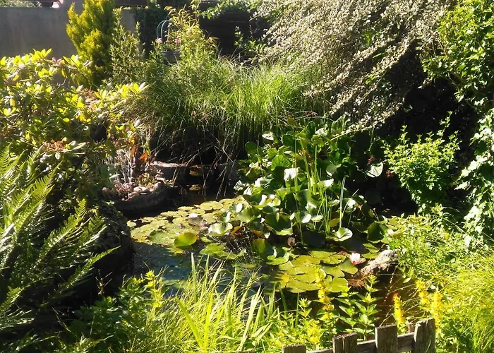 ホームステイ Petit Chez Soi Dans Mon Petit Chez Moi *